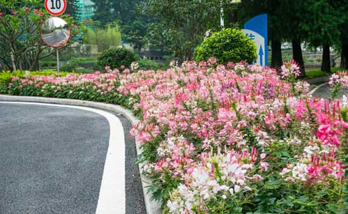 珠光云山壹號花境設計